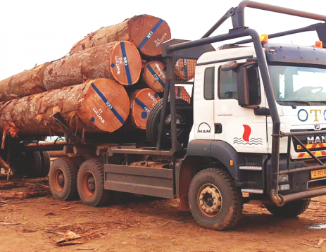 Logging 2 Logging 2
